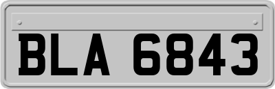 BLA6843