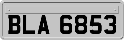 BLA6853