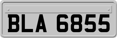 BLA6855