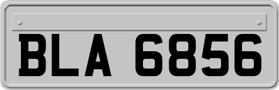 BLA6856