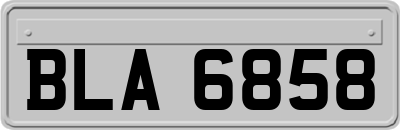 BLA6858