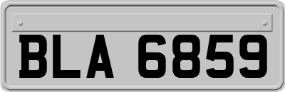 BLA6859