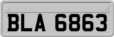BLA6863