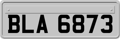 BLA6873