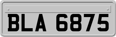 BLA6875