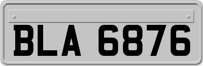 BLA6876