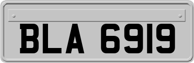 BLA6919