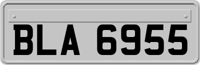 BLA6955