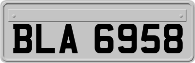 BLA6958
