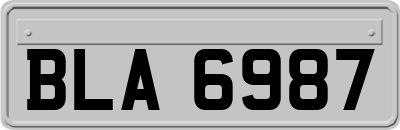 BLA6987
