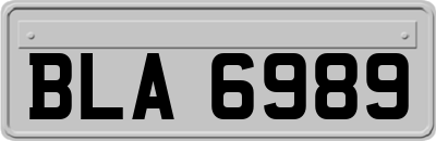 BLA6989