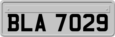 BLA7029