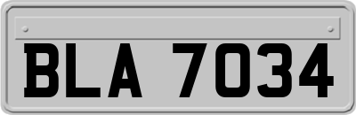 BLA7034