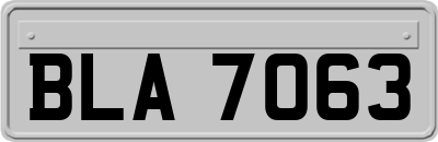 BLA7063