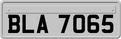 BLA7065
