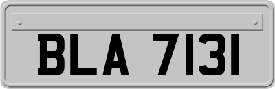 BLA7131