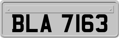 BLA7163