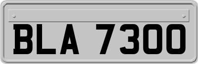 BLA7300