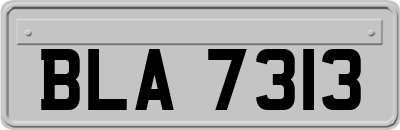 BLA7313