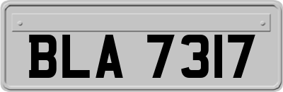 BLA7317