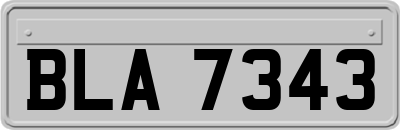 BLA7343