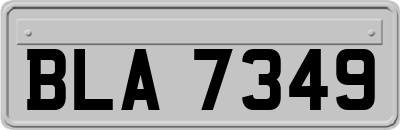 BLA7349