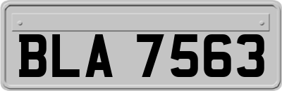 BLA7563