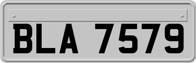 BLA7579