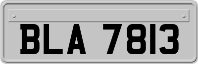 BLA7813