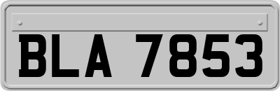 BLA7853