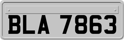 BLA7863