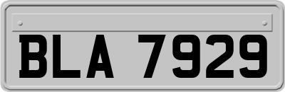 BLA7929