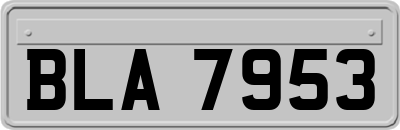 BLA7953