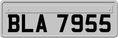 BLA7955