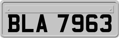 BLA7963