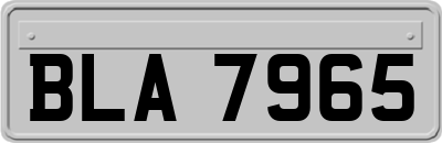 BLA7965