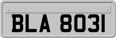 BLA8031