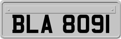 BLA8091