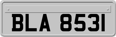 BLA8531