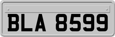 BLA8599