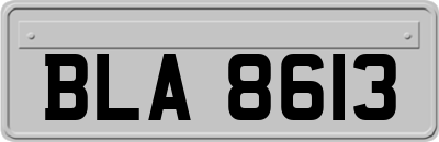 BLA8613