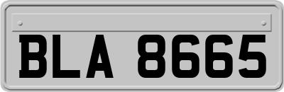 BLA8665