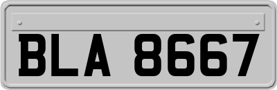 BLA8667