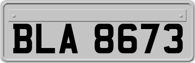 BLA8673