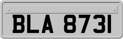 BLA8731
