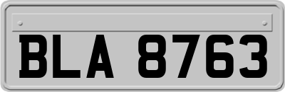 BLA8763