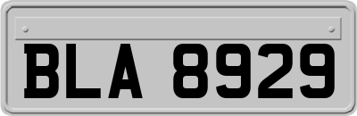 BLA8929