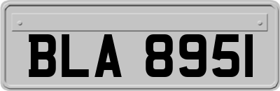 BLA8951