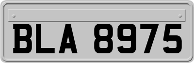 BLA8975