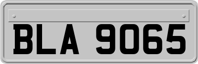 BLA9065